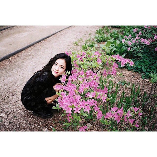 블랙핑크 인스타그램 폭풍 업뎃.jpg | 인스티즈