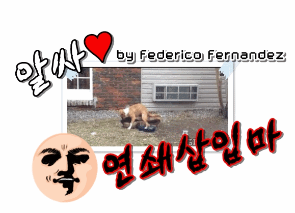 묘한 느낌의 영화 한장면 모음 21탄.gif | 인스티즈