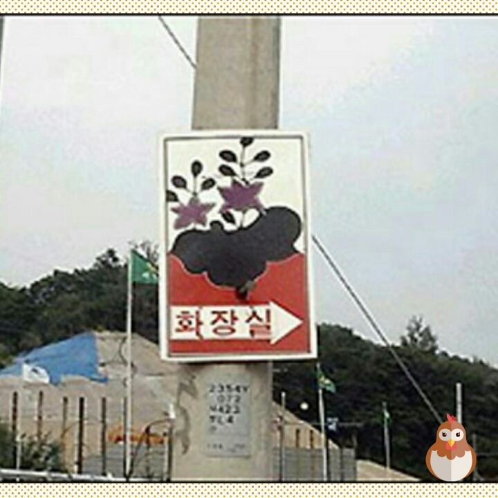 똥광 이미지