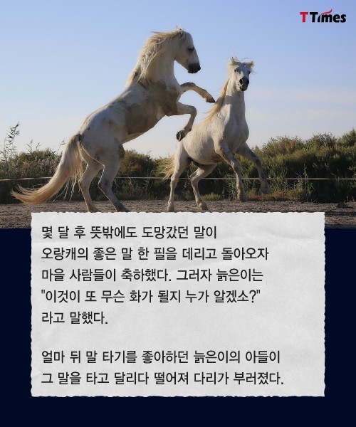 화(禍)와 복(福)은 패키지로 움직인다 | 인스티즈