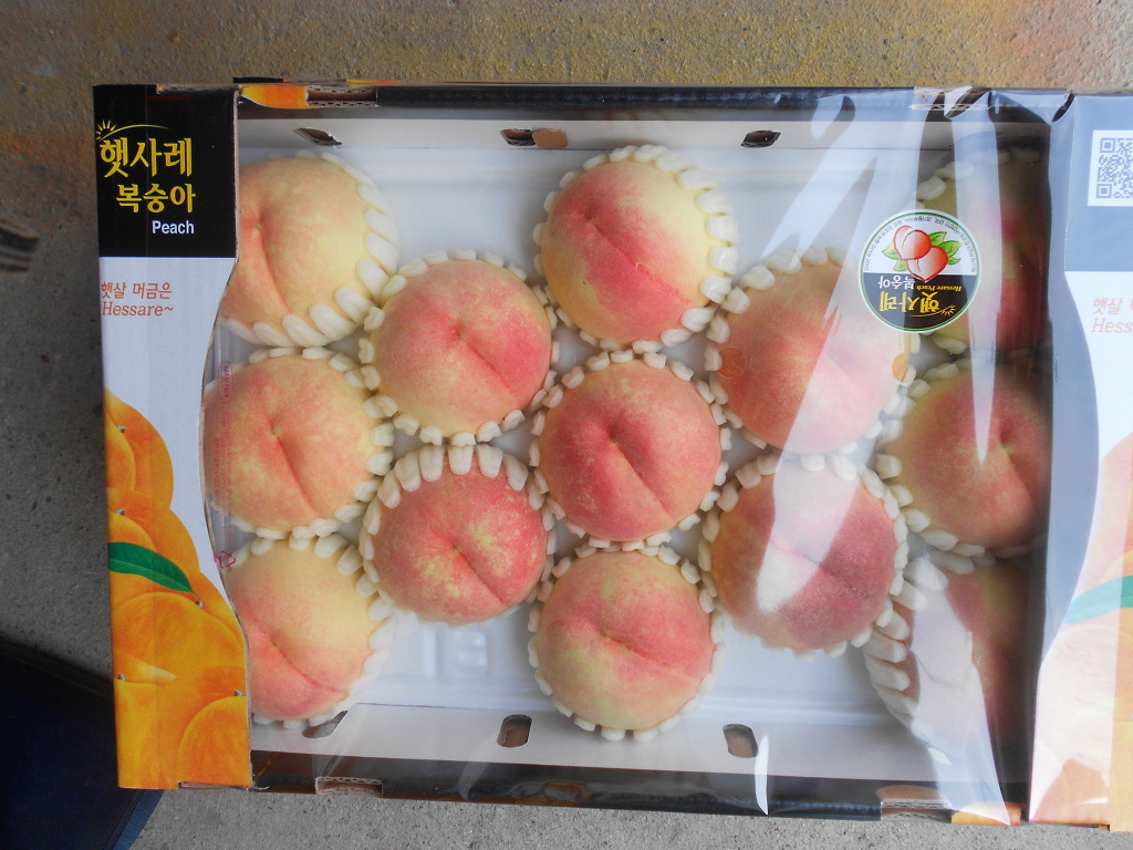 유정농원 이미지