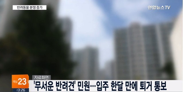 반려동물 때문에..쫓겨나고 전과자 되는 주인들 | 인스티즈