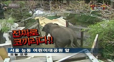 이상우가 드라마 촬영에 지각한 이유 | 인스티즈