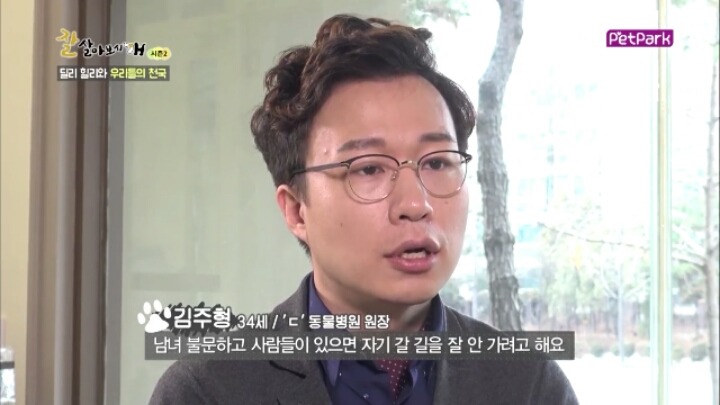 사람에 대한 트라우마가 있는 강아지 딜리 | 인스티즈