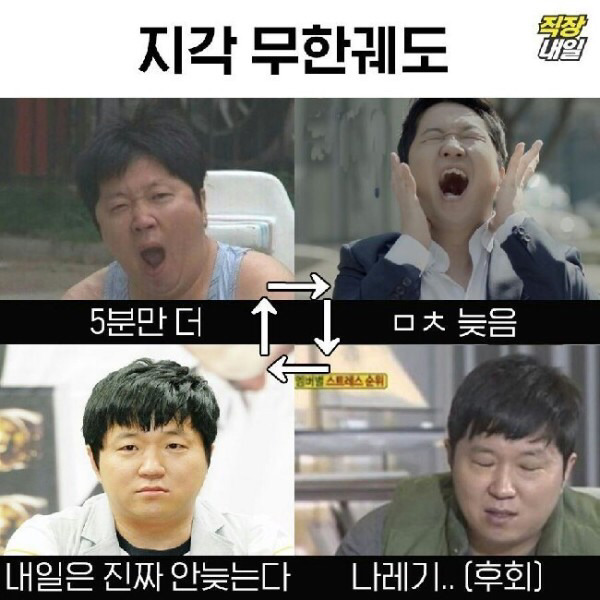 직장인들의 무한궤도 | 인스티즈
