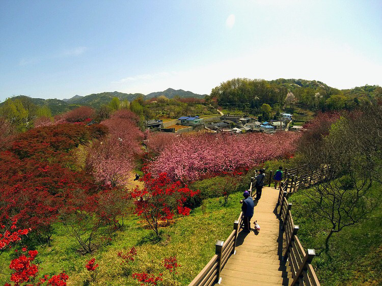 전주 완산공원 꽃동산 - 관광객보다 전주 시민들이 더 많이 가는 곳 | 인스티즈