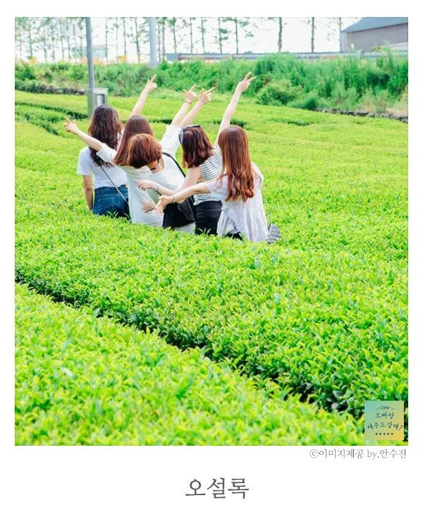 제주도 사진찍기 좋은 스팟.jpg | 인스티즈