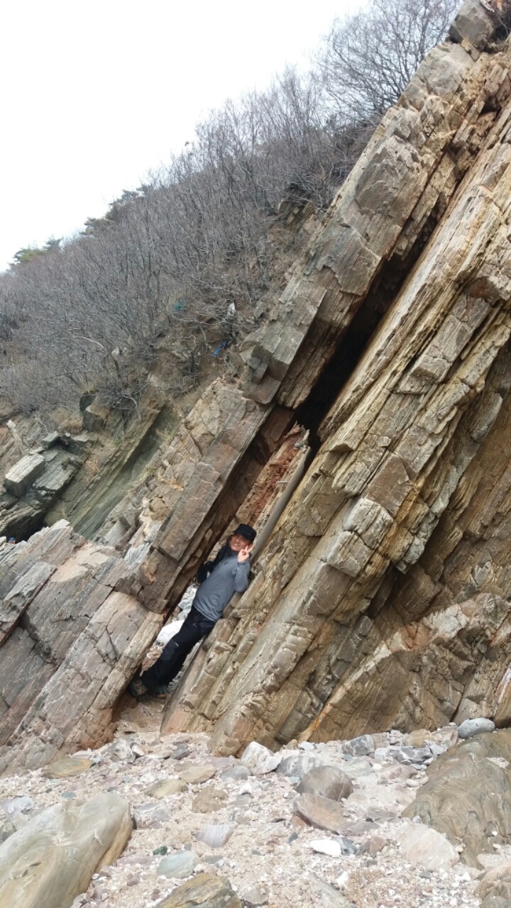 요땡 이미지
