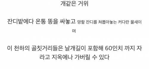 거위에게 원한있는 교과서 제작자 | 인스티즈