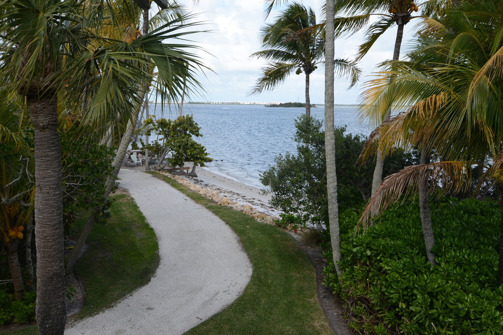 플로리다 분위기.jpg | 인스티즈