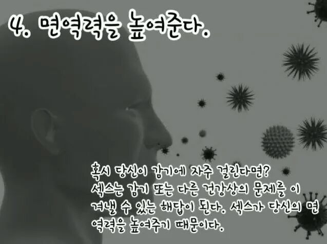섹스를 매일해야하는 16가지 이유 | 인스티즈