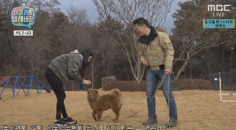오늘자 마리텔에서 영혼털린 설현,민아.gif | 인스티즈