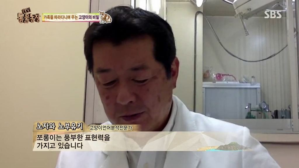 [동물농장] 존트 할말 다 하고 사는 수다쟁이 고양이 쪼롱이ㅋㅋㅋㅋ.jpg | 인스티즈