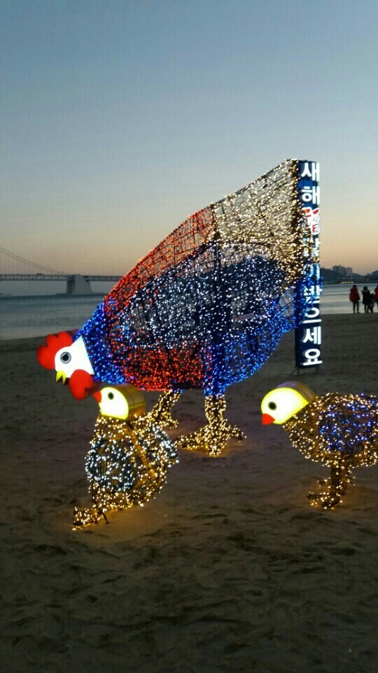 담금 이미지