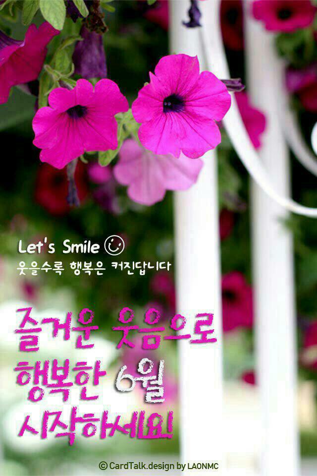 미디한 이미지