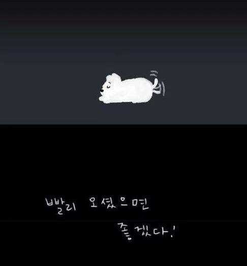 온공일 이미지