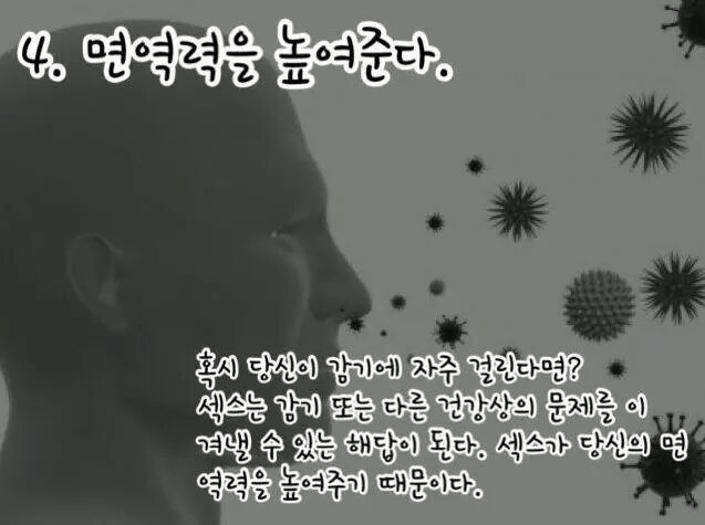 섹스를 매일해야하는 16가지 이유 | 인스티즈