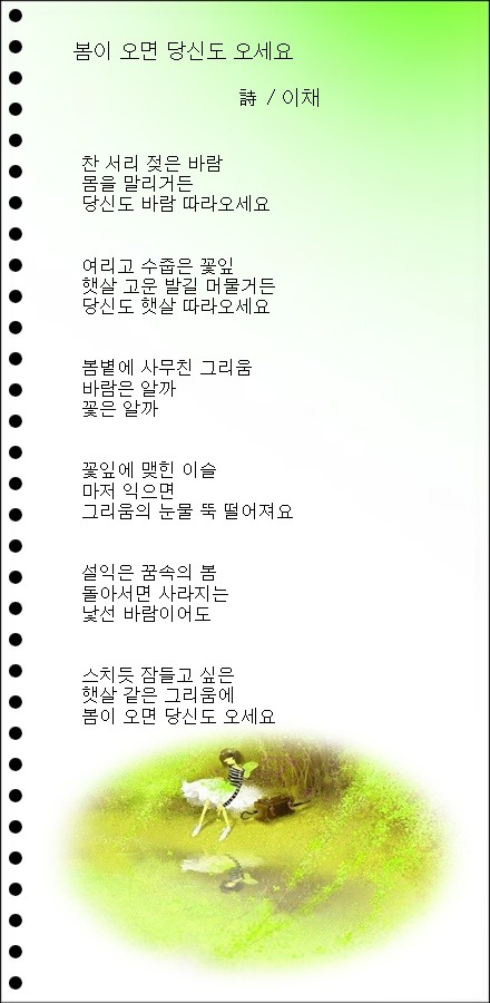 이채3 이미지
