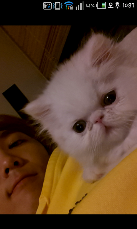아까전애 이미지