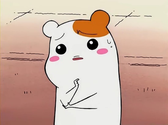 햄스터계의 라이벌 | 인스티즈