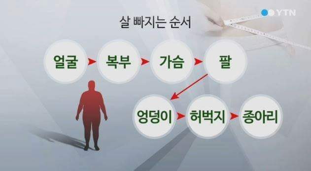 살 빠지는 순서 | 인스티즈