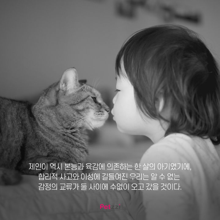 아기와 고양이의 교감 | 인스티즈