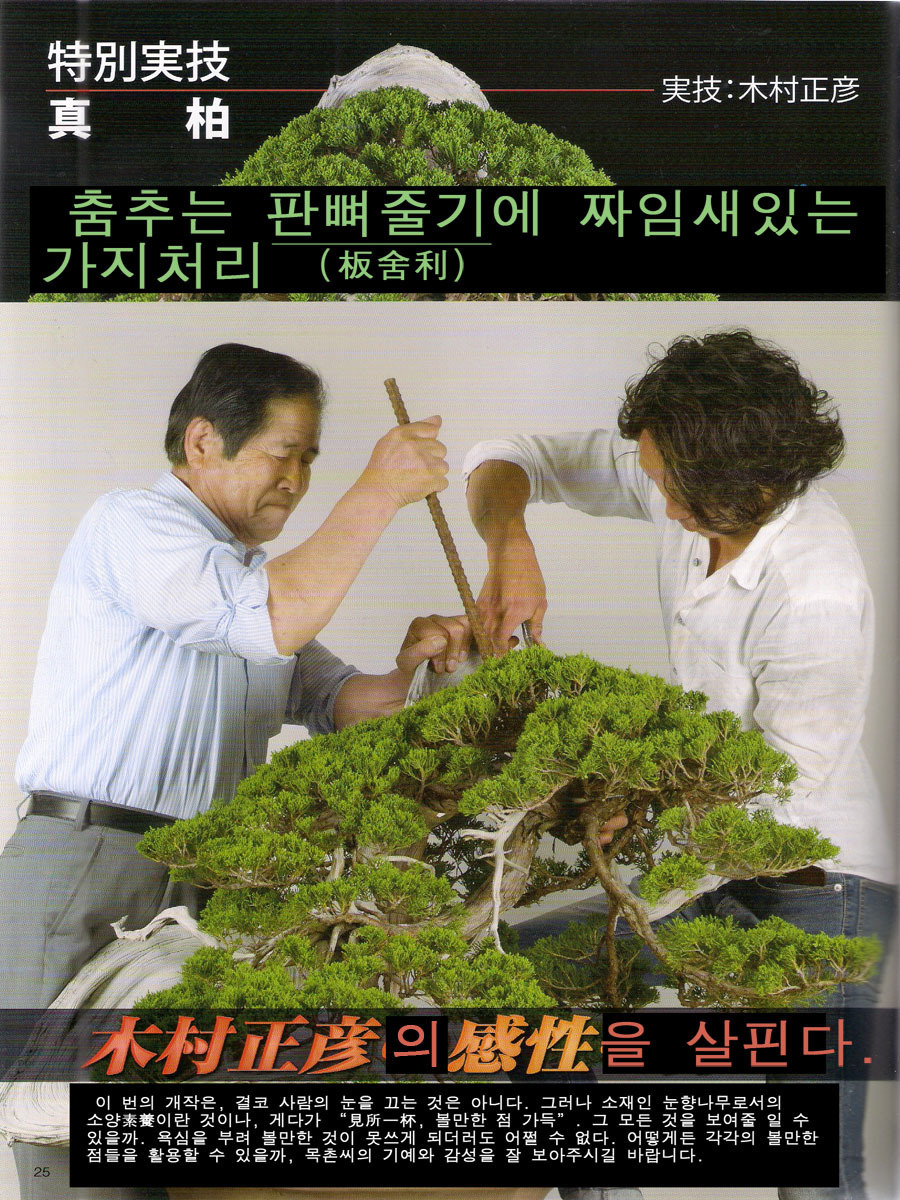 정언 이미지