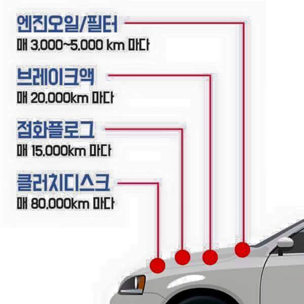 자동차 관리 하는 법 | 인스티즈
