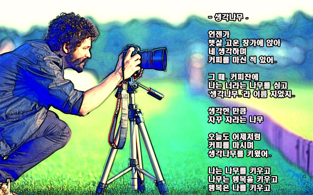 생각나무 이미지