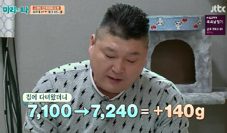 [마리와나] 뚱보냥 호동이 다이어트 시키기 (feat.먼지) | 인스티즈