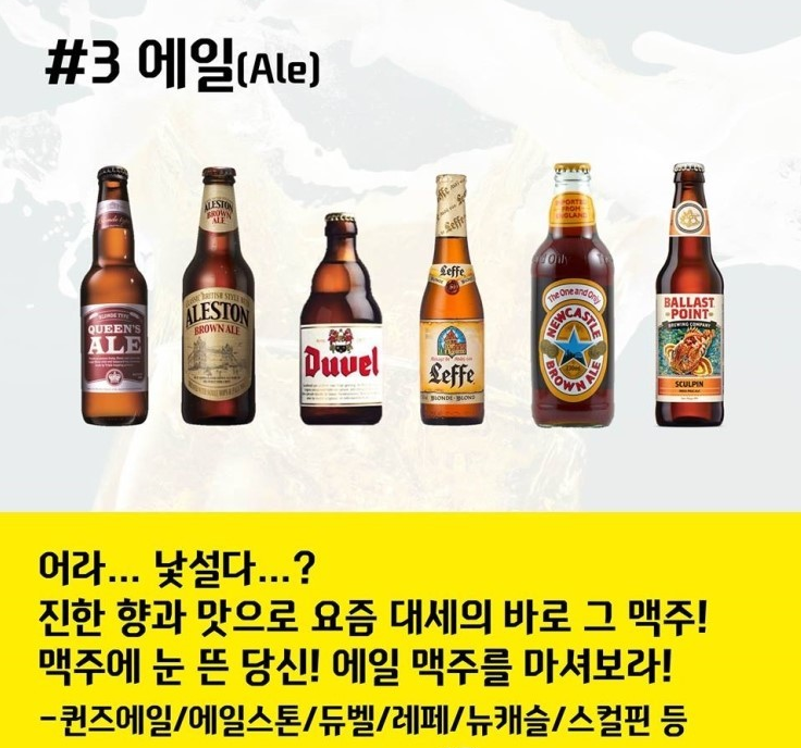 맥주의 세계.jpg | 인스티즈