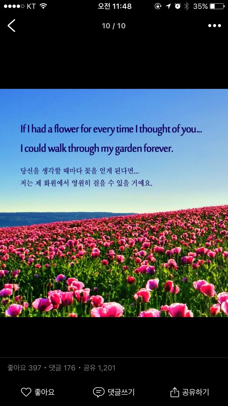 발렌타인데이에 읽어보면 좋을 달달한 영어표현 | 인스티즈