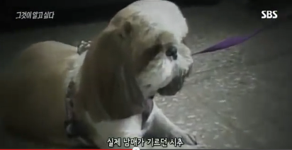 그것이알고싶다 비극의상견례 3편 | 인스티즈