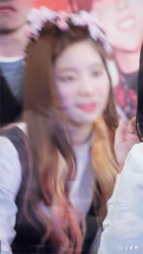 락4를 잃을 수 없어서 흥두부 | 인스티즈