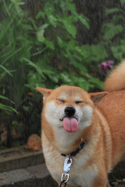 아 이미지