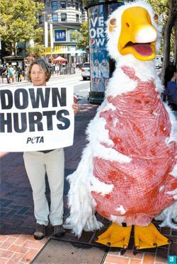 모르는 것은 죄가 아니다. 그러나 알고자 하지 않는 것은 죄다 | 인스티즈