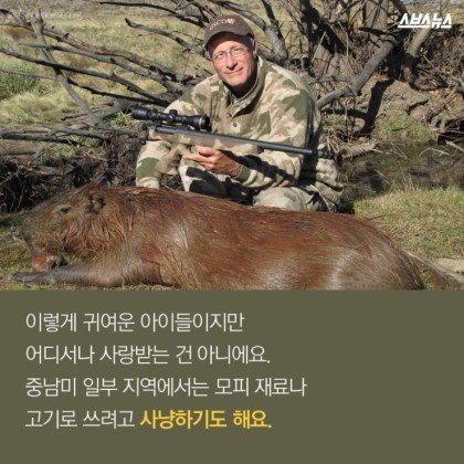 동물들중에 제일 친화력 좋은 친구 '카피바라' | 인스티즈
