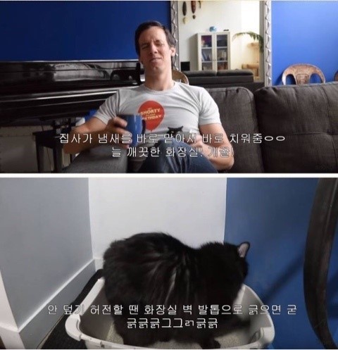 집냥이들아 팁 알려준다ㅇㅇ | 인스티즈