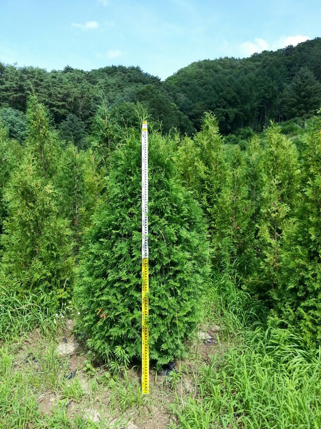 가온조경 이미지