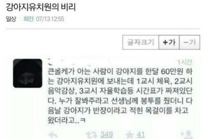 강아지 유치원 비리 터짐.jpg | 인스티즈