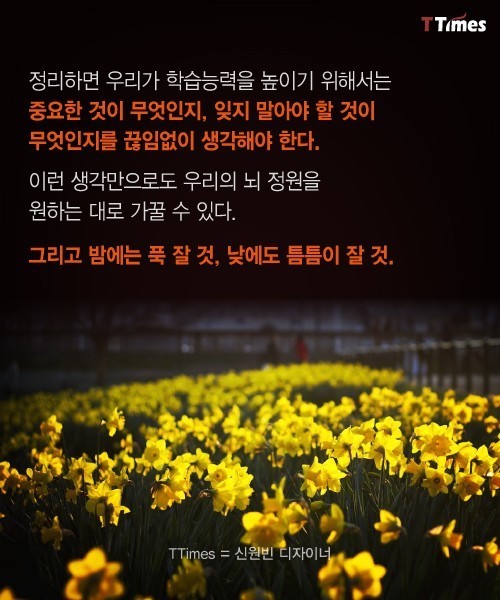 나쁜 기억들을 가지치기 하는 법 | 인스티즈