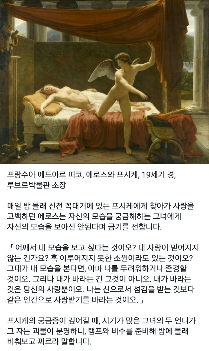프시케 이미지