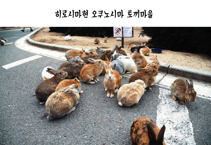 열도의 마을.jpg | 인스티즈