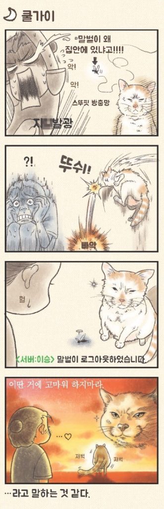 상상 속의 고양이 vs 실제 고양이 | 인스티즈