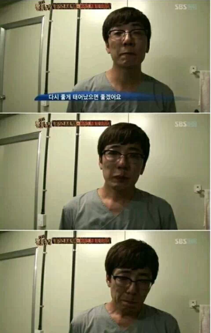유기견을 안락사시키는 수의사들의 심정.... | 인스티즈