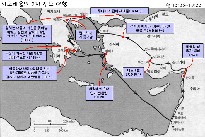다여기 이미지