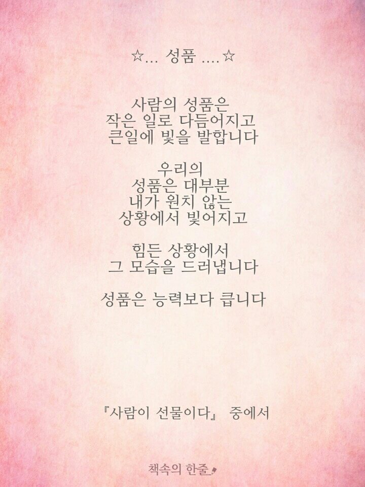 넌나의봄이다 이미지