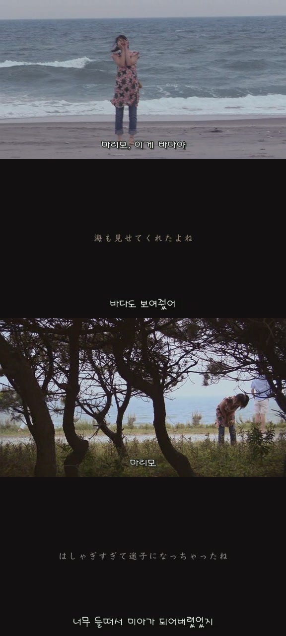 강아지의 삶 | 인스티즈