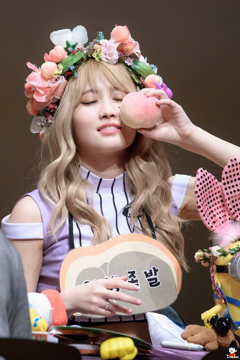 저번주 트와이스 | 인스티즈
