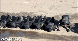 인데 멋있음ㄷㄷㄷ.gif | 인스티즈